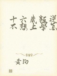 十六岁叛逆男孩不想上学怎么办