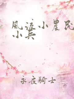 风流小农民之王小兵