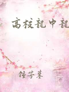 高校龙中龙