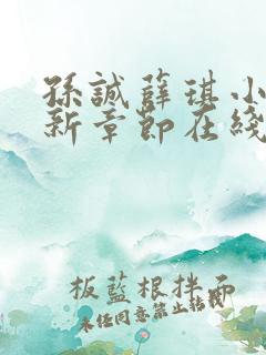 孙诚薛琪小说最新章节在线阅读