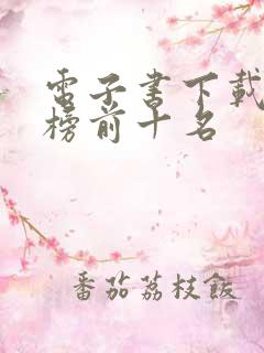 电子书下载排行榜前十名