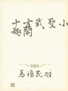 十方武圣小说笔趣阁
