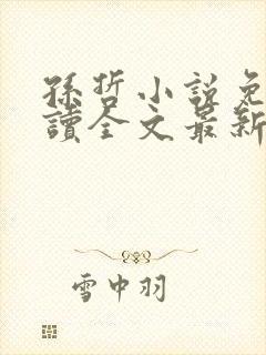 孙哲小说免费阅读全文最新章节