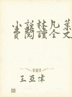 小说林凡叶惜免费阅读全文最新