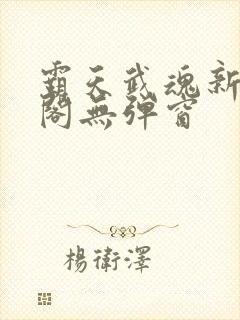 霸天武魂新笔趣阁无弹窗