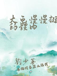 大龟慢慢挺进我的体内