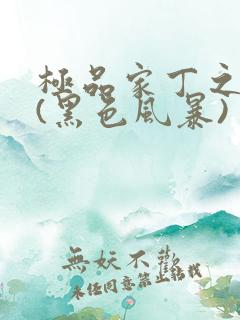 极品家丁之征服(黑色风暴)