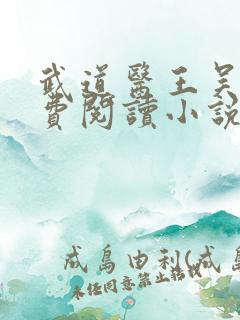 武道医王吴东免费阅读小说