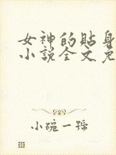 女神的贴身神医小说全文免费阅读