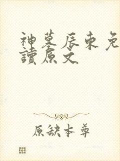 神墓辰东免费阅读原文