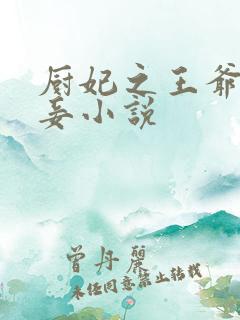厨妃之王爷请纳妾小说