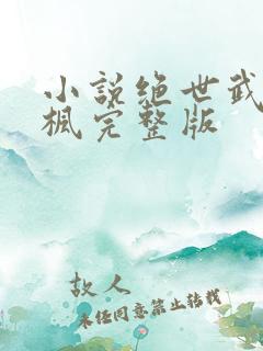 小说绝世武魂陈枫完整版