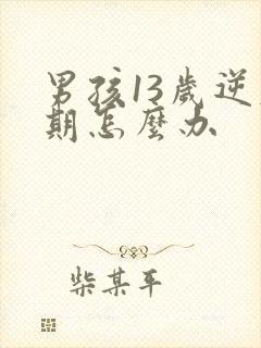 男孩13岁逆反期怎么办