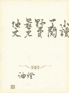 他最野了小说全文免费阅读