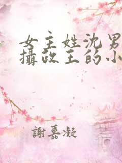 女主姓沈男主是摄政王的小说