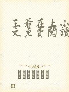 王爷在上小说全文免费阅读