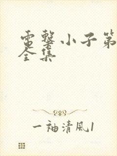 电击小子第二部全集
