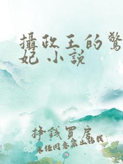 摄政王的惊世嫡妃 小说