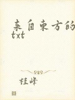 来自东方的骑士txt