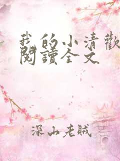 我的小清欢在线阅读全文
