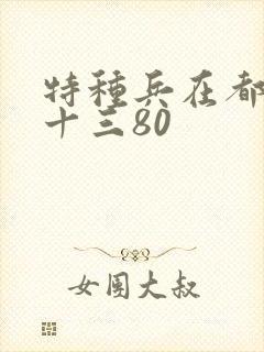 特种兵在都市夜十三80