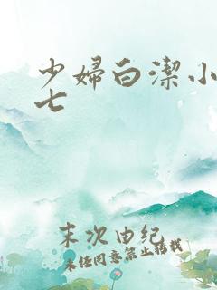 少妇白洁小说老七