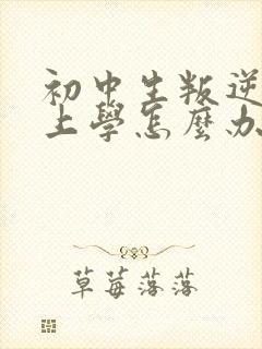 初中生叛逆不想上学怎么办