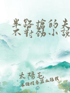 半路抢的夫君他不对劲小说笔趣阁