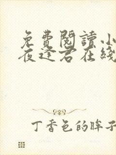 免费阅读小说此夜逢君在线阅读全文