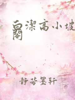 白洁高小坡笔趣阁