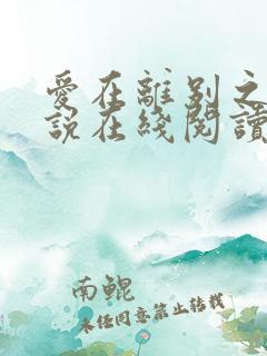 爱在离别之后小说在线阅读