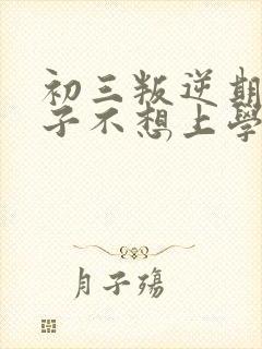 初三叛逆期的孩子不想上学怎么办