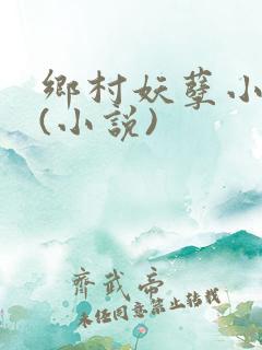 乡村妖孽小医仙(小说)