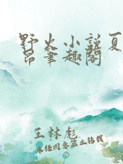 野火小说夏布多昂笔趣阁
