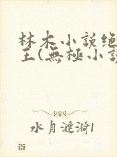 林木小说绝代医王(无极小说)