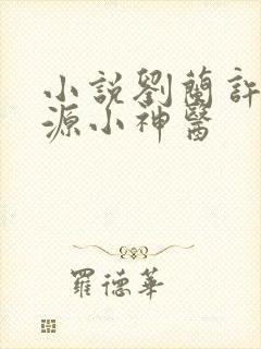 小说刘兰许凡桃源小神医