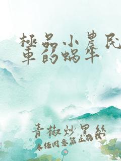 极品小农民 飙车的蜗牛