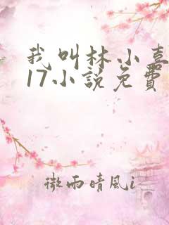 我叫林小喜今年17小说免费看