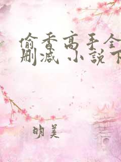 偷香高手全文无删减 小说下载