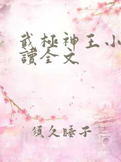 武极神王小说阅读全文