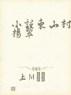 小说东山村张冬杨翠