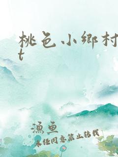 桃色小乡村txt