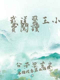 武道医王小说免费阅读