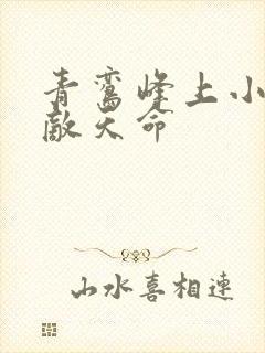 青鸾峰上小说无敌天命