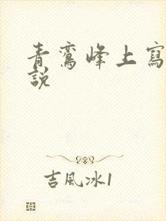青鸾峰上写的小说