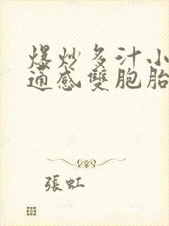 爆炒多汁小美人通感双胞胎