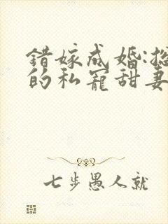 错嫁成婚:总裁的私宠甜妻 短剧