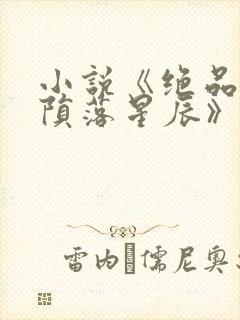 小说《绝品邪少陨落星辰》
