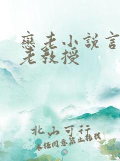 恋老小说言情网老教授