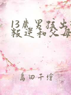 13岁男孩出现叛逆和父母对打怎么办